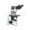 Microscopio bScope digital BS.1157-PLi