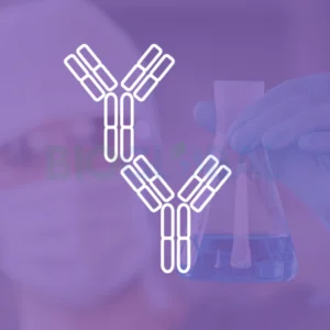 ELISA2 Kits ELISA para la Investigación