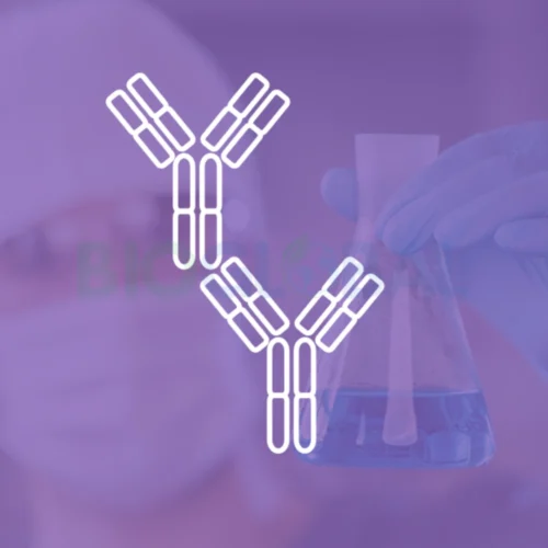ELISA2 Kits ELISA para la Investigación