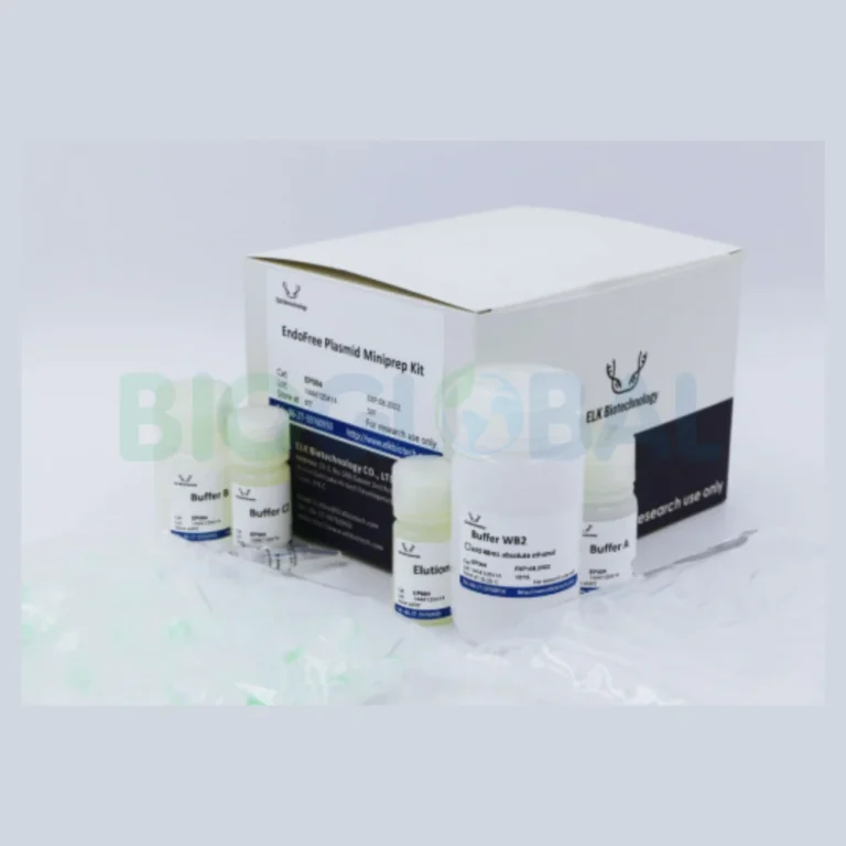 molecular (2) Molecular