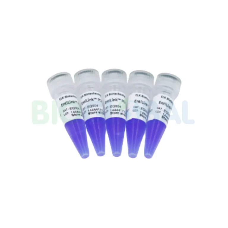 molecular (3) Molecular