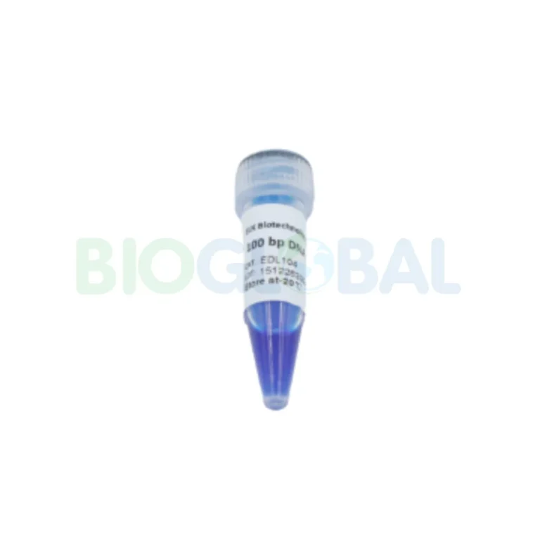 molecular (4) Molecular