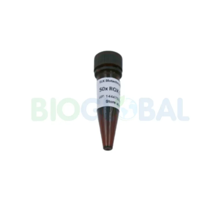 molecular (5) Molecular