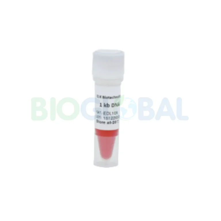 molecular (6) Molecular
